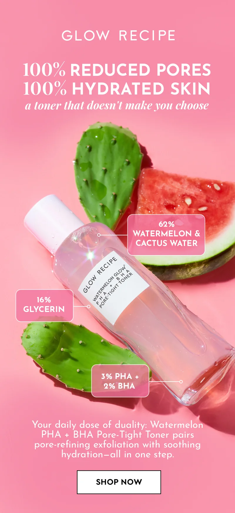 Shop Watermelon Toner