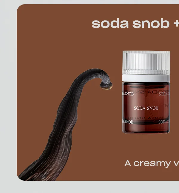 soda snob + vanilla vice A creamy vanilla soda.