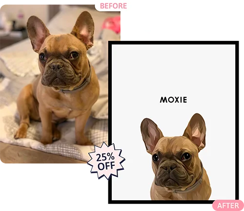 Before and after of a Frenchie Modern pet portrait