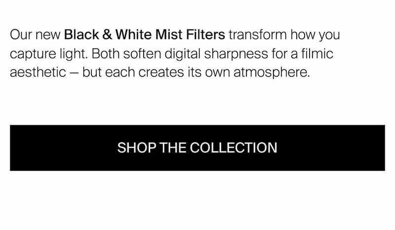Shop the collection