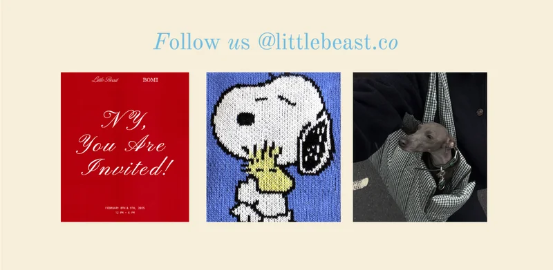 Follow us on Instagram