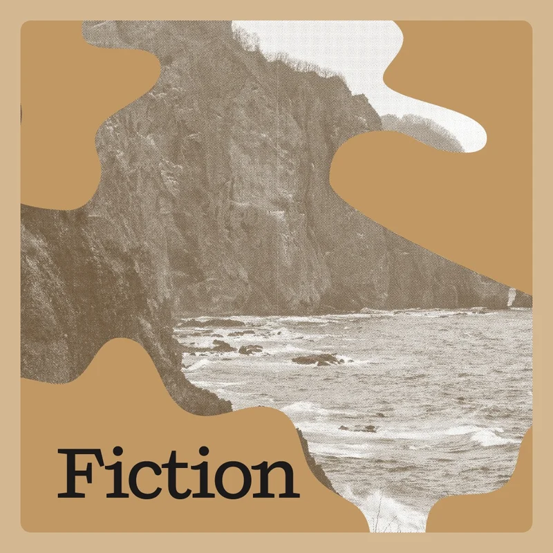 Fiction