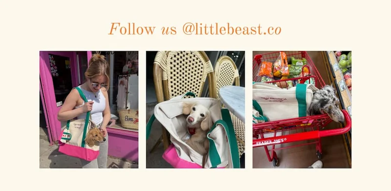 Follow us on Instagram