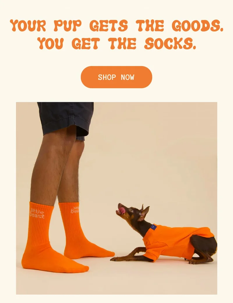 Your pup gets the goods. You get the socks.