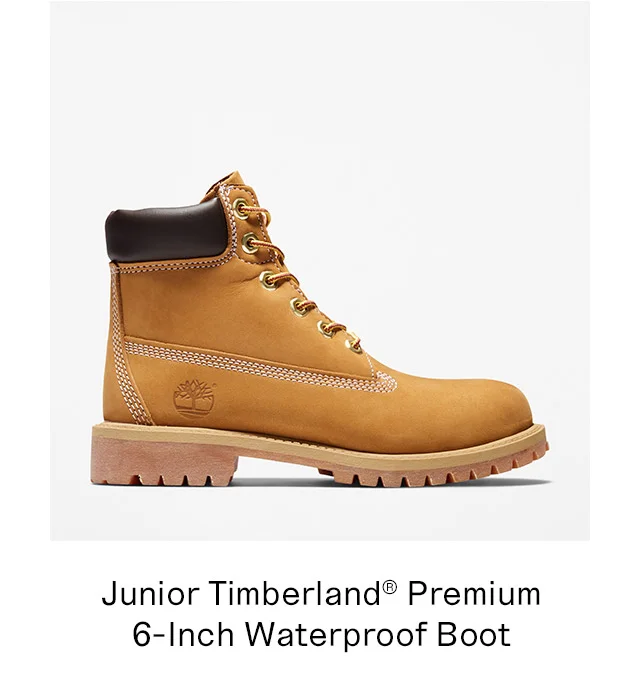 Junior Timberland Premium 6 Inch Waterproof Boot