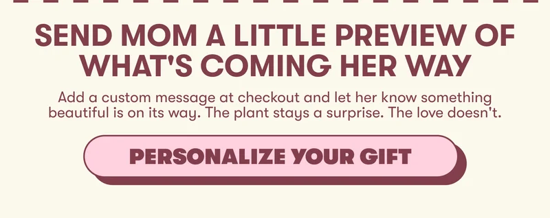 send a gift preview