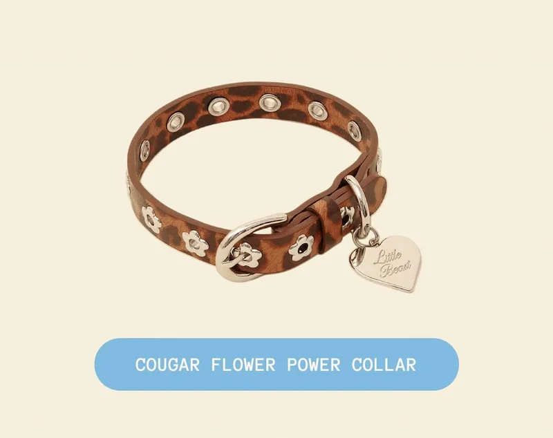 Cougar Flower Power Collar