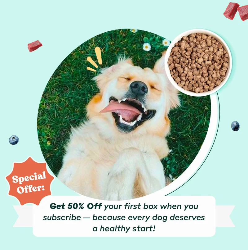 Special Offer - 50% off your fist box