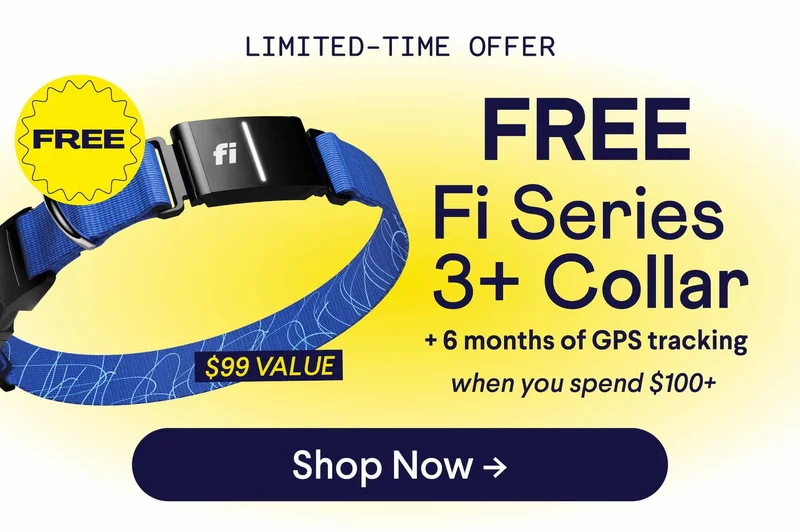 LIMITED-TIME OFFER FREE Fi Collar + 6 months of GPS tracking Yours with any order $100+. No code needed. $99 VALUE