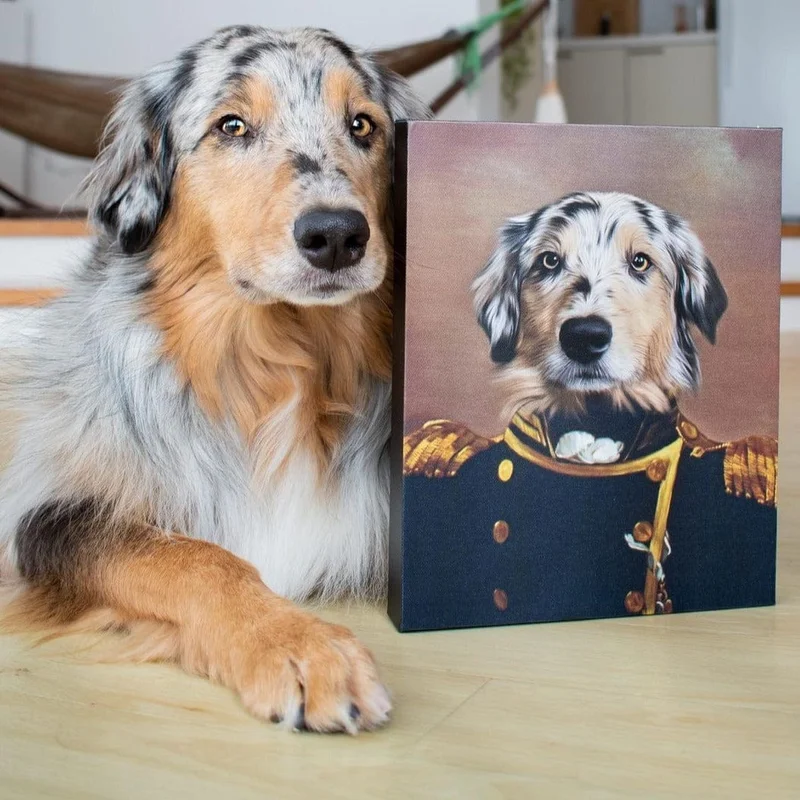 Image of The Admiral - Custom Pet Canvas