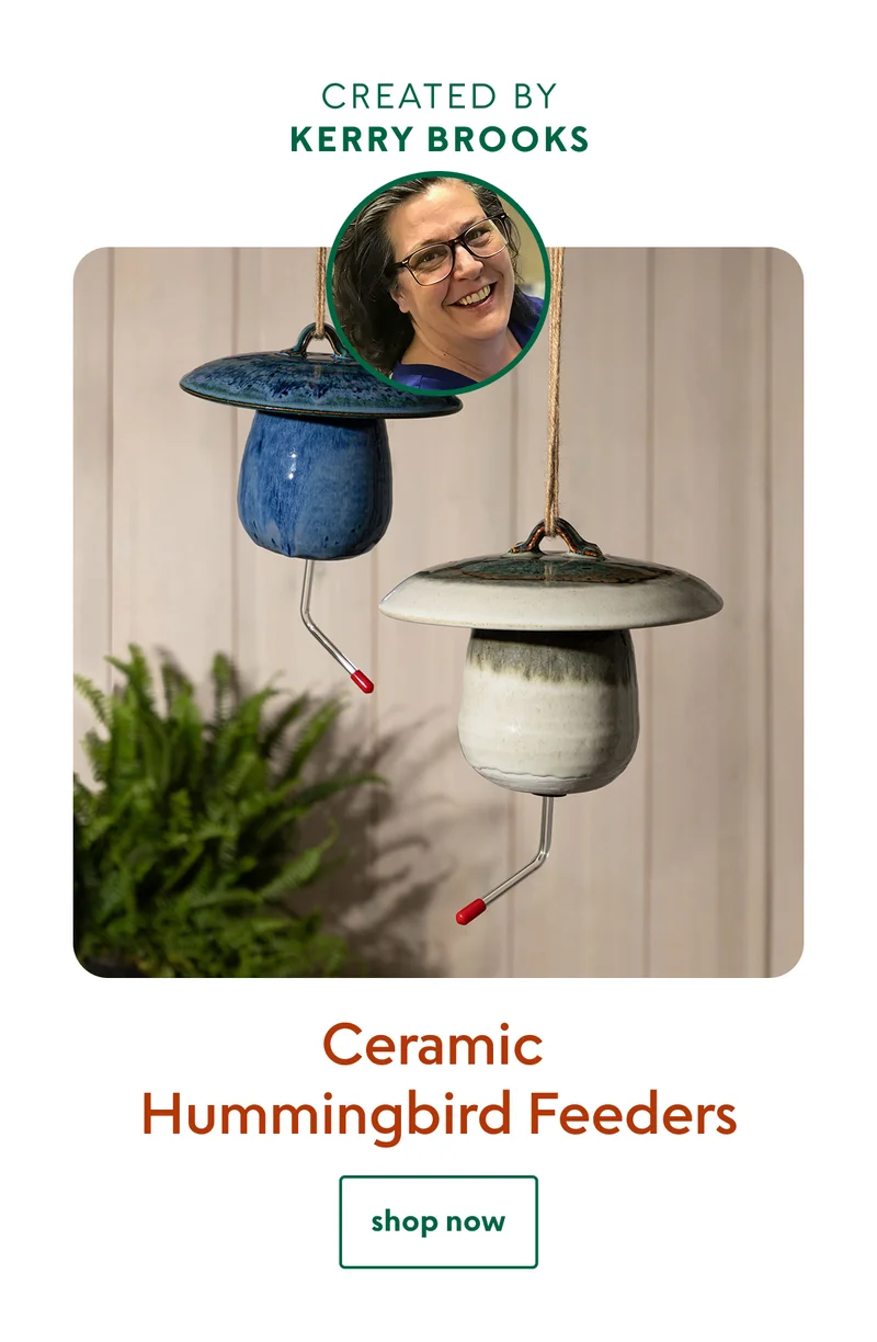 ceramic-hummingbird-feeders