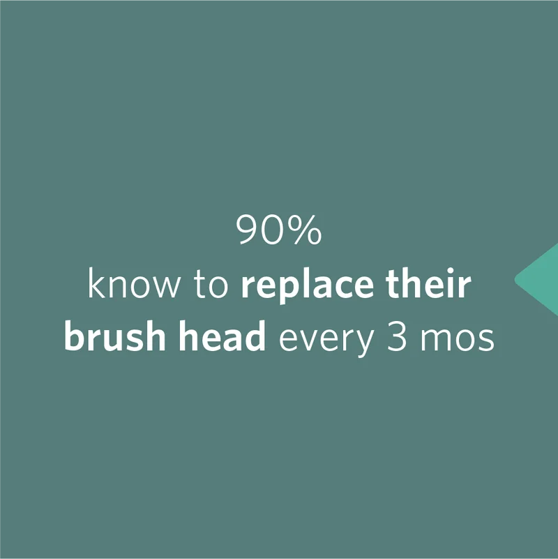 Brush Head