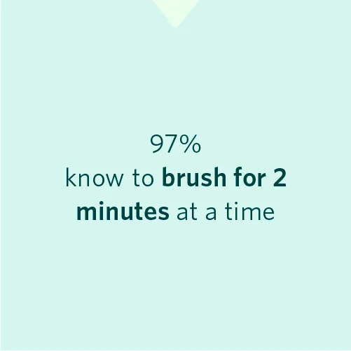 Brush