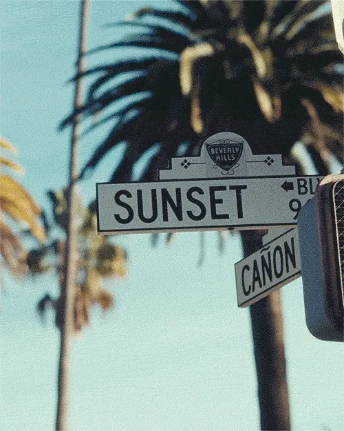 Shopping in Beverly Hills