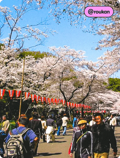 Image Description: People walking in a park surrounded by cherry blossoms.
