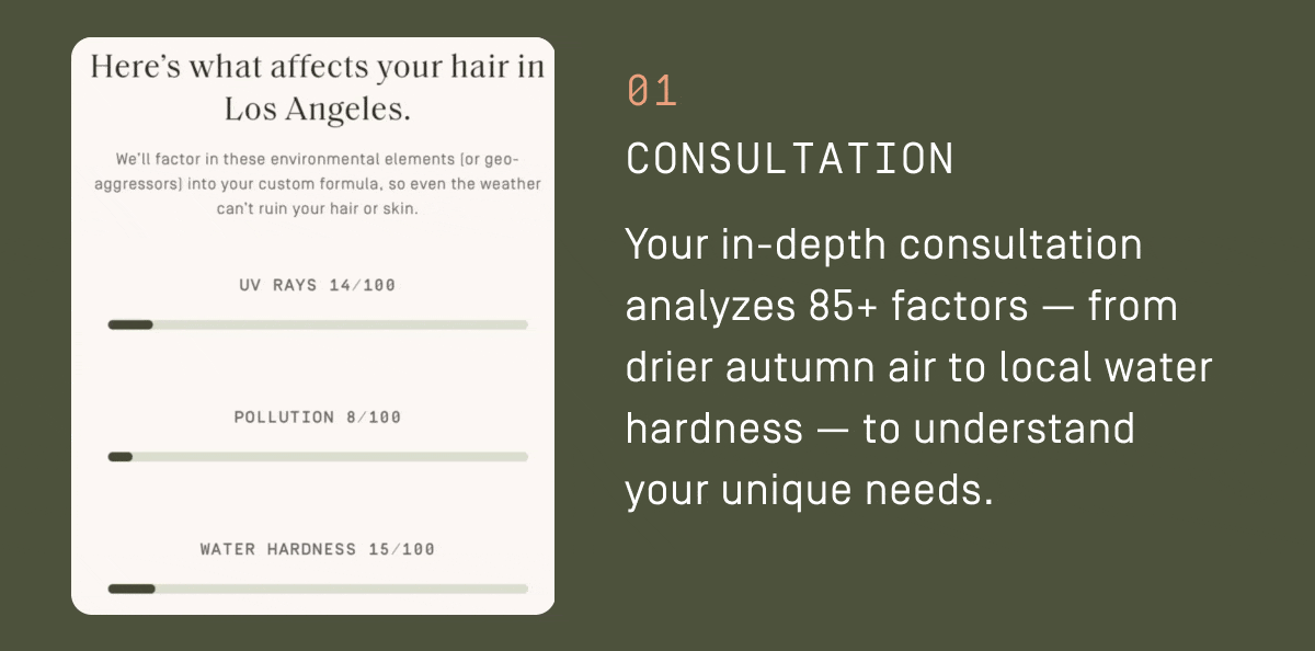 01 Consultation