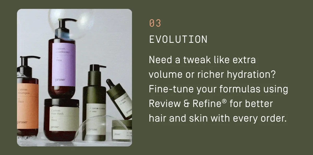 03 Evolution