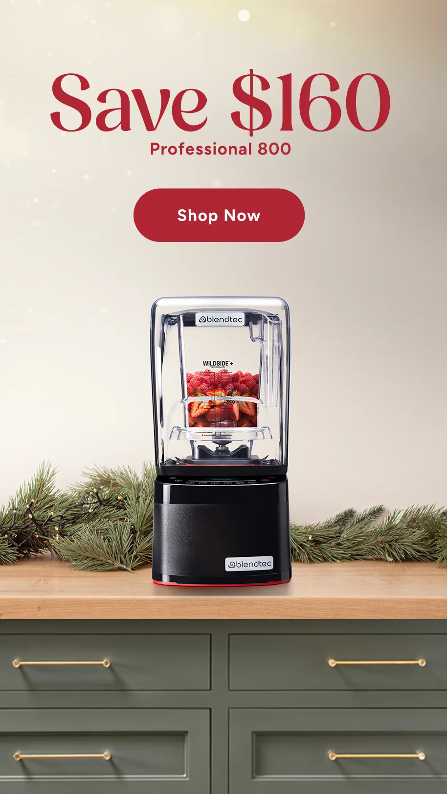 Blendtec - Pro 800