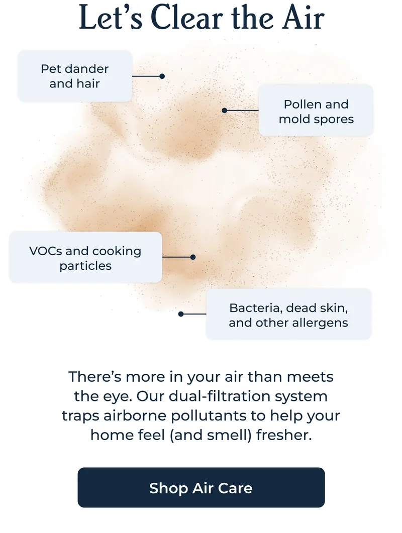Let’s Clear the Air | Shop Air Care