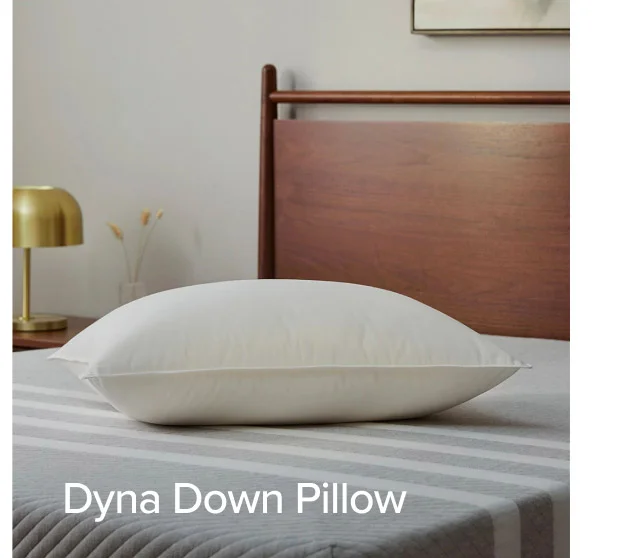 Dyna Down Pillow.