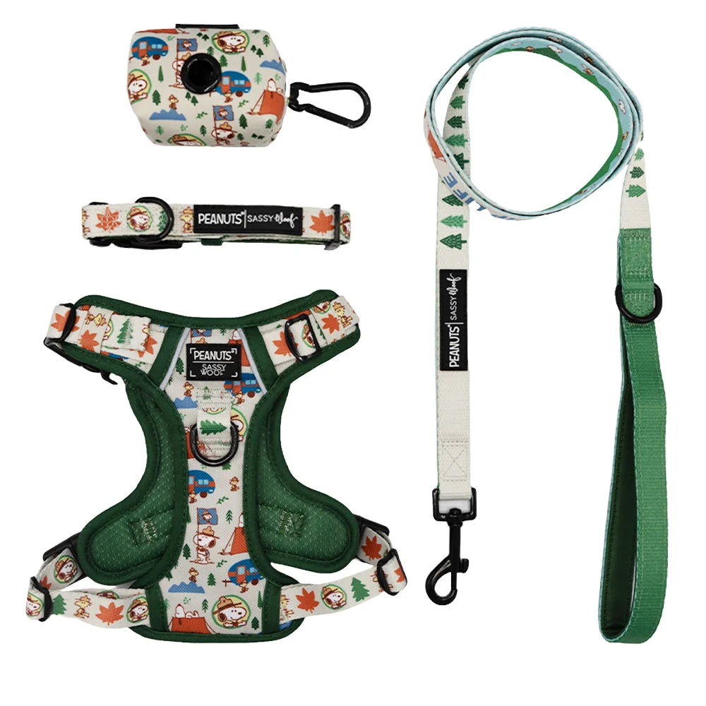 Image of Dog Four Piece Bundle - Peanuts™ Beagle Scouts