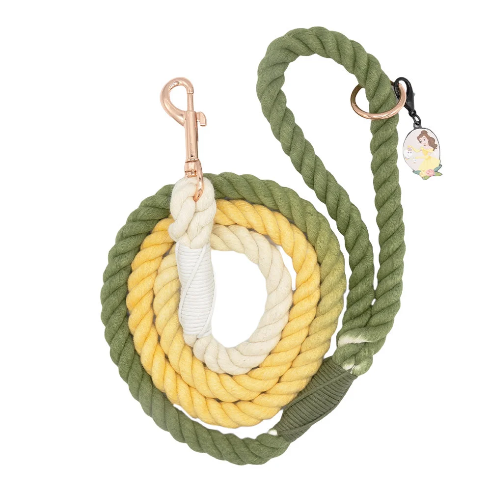 Image of Dog Rope Leash - Disney's Belle