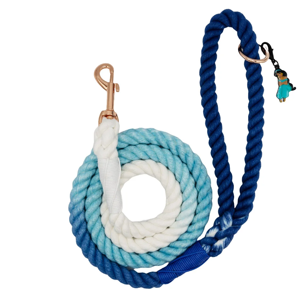 Image of Dog Rope Leash - Disney's Jasmine