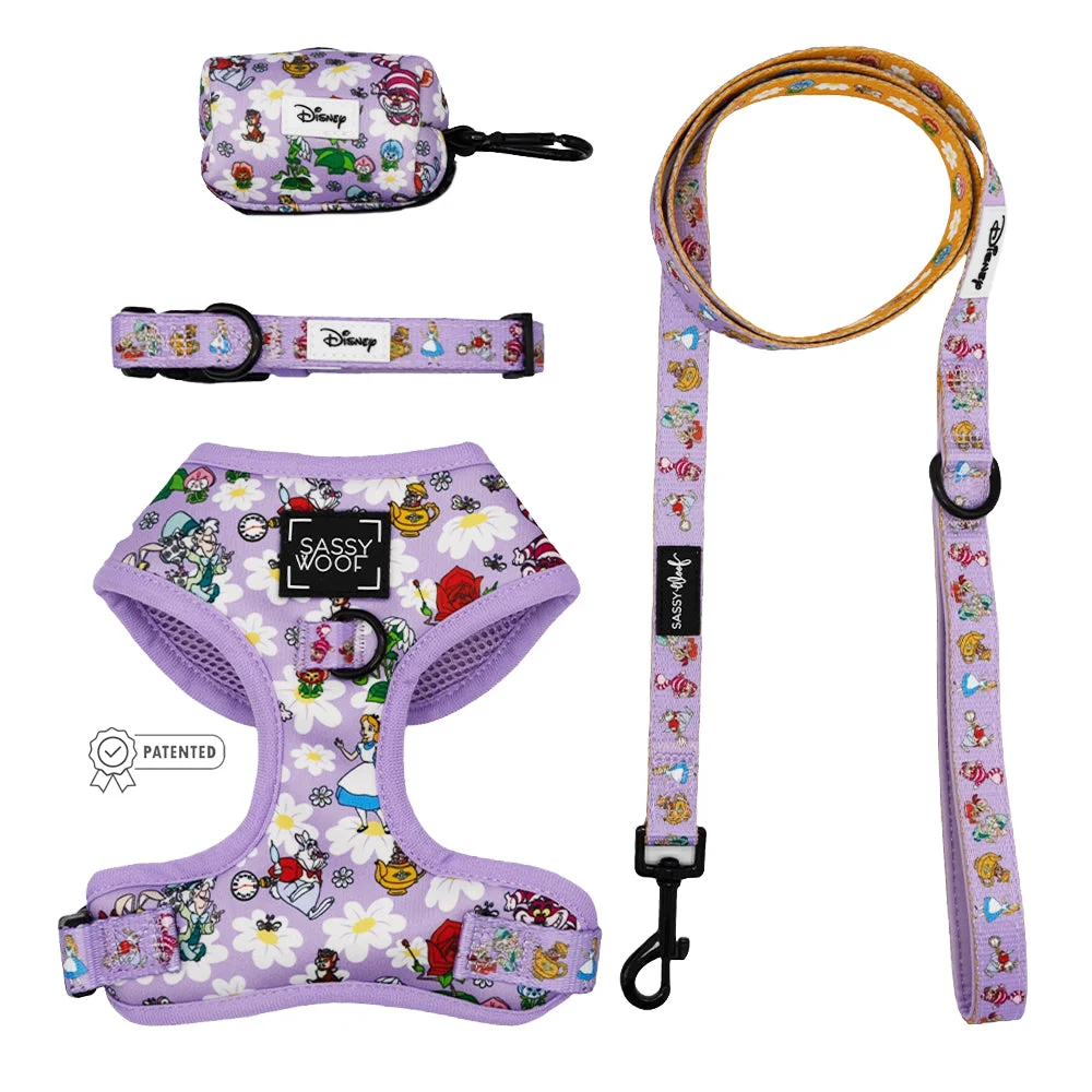 Image of Dog Four Piece Bundle - Alice in Wonderland (Purple)