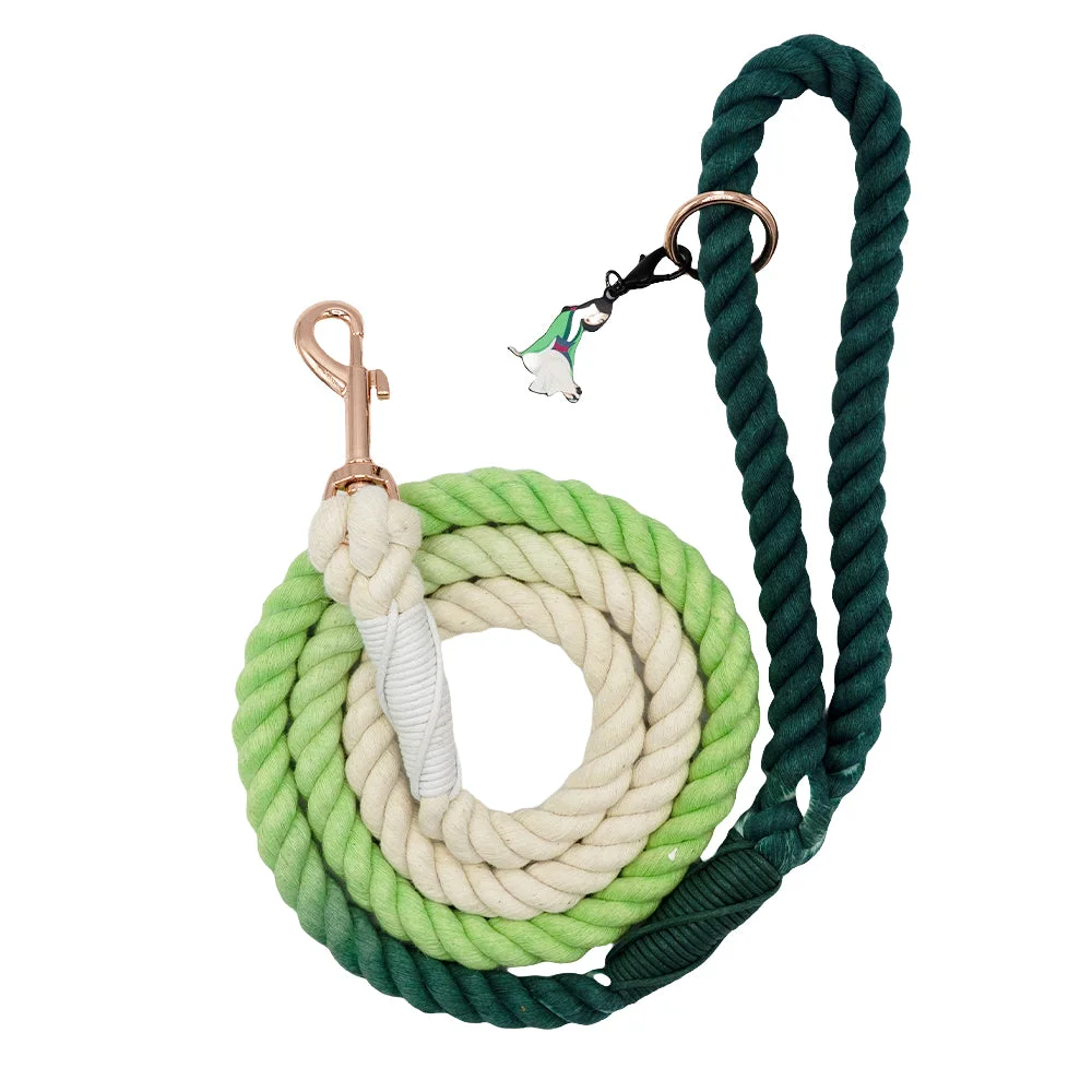 Image of Dog Rope Leash - Disney's Mulan