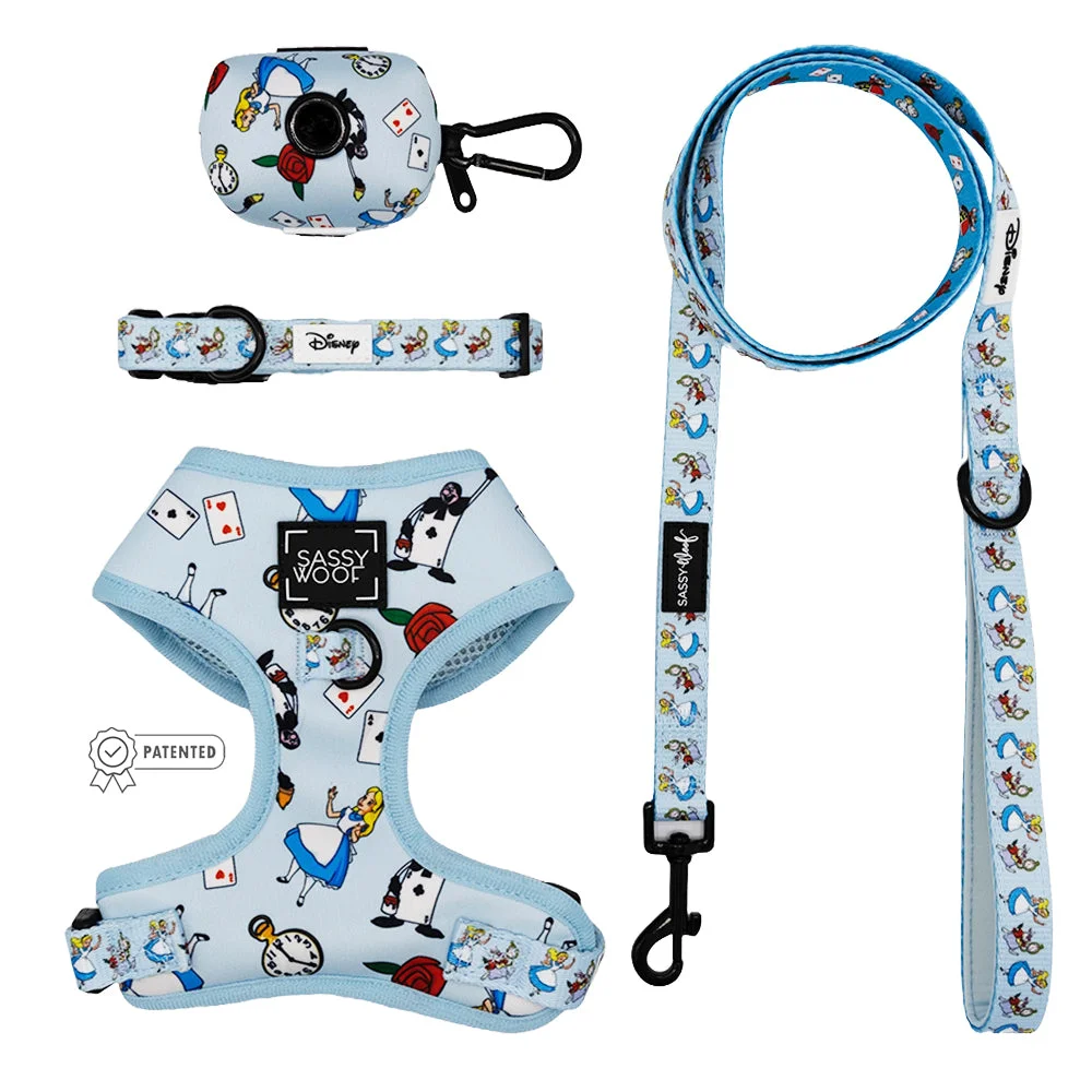Image of Dog Four Piece Bundle - Alice in Wonderland (Blue)
