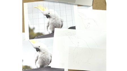 Basics on Getting Your Image Onto Watercolour Paper - Grid, Tracing or Light Box
