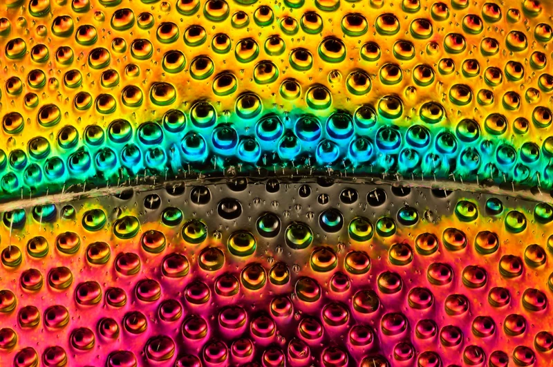 The dorsal part of an abdomen. The species is found in Nordic and Baltic countries and belong to a larger family (Chrysididae) known for their metallic coloration.