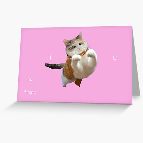 fatfatpankocat