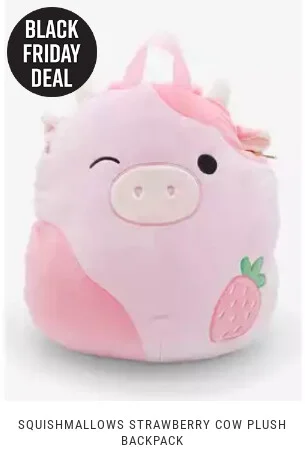 Black Friday Deal