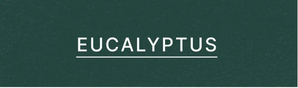Eucalyptus