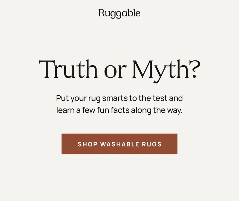 Shop Washable Rugs
