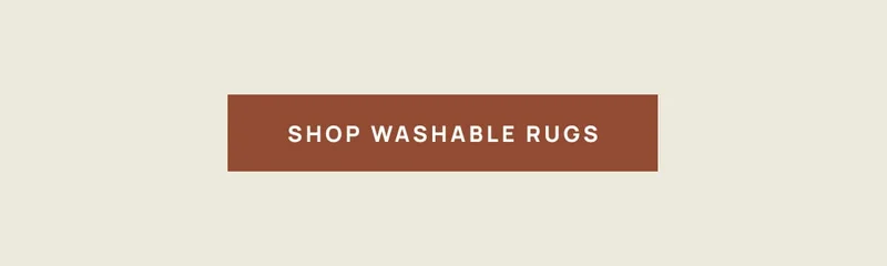 Shop Washable Rugs