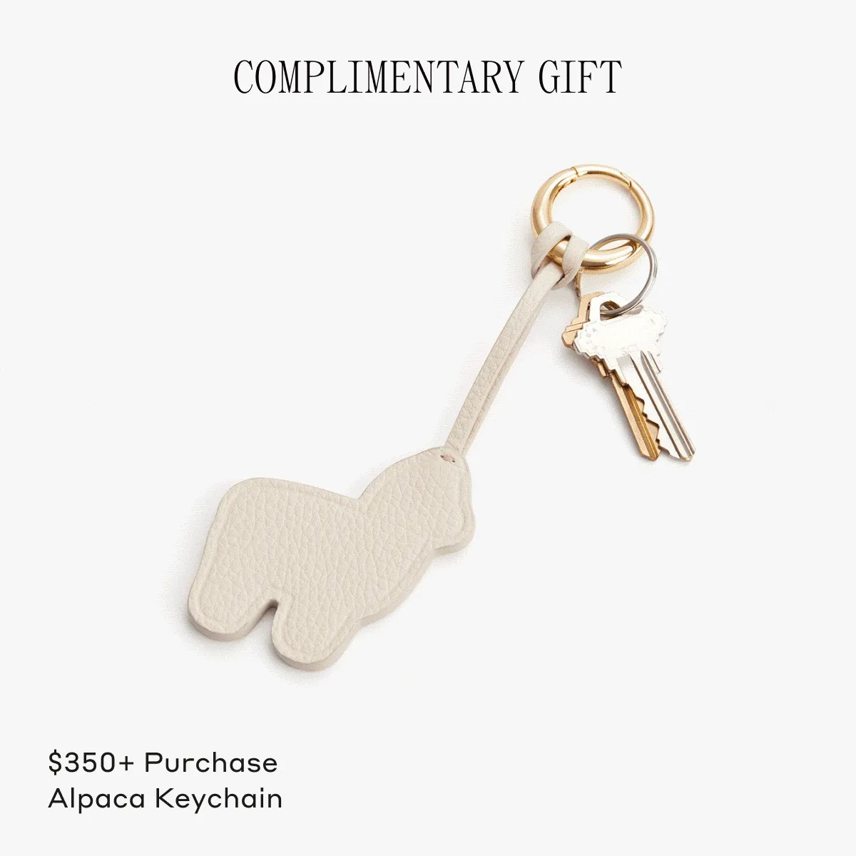 Complimentary Gift With Purchase