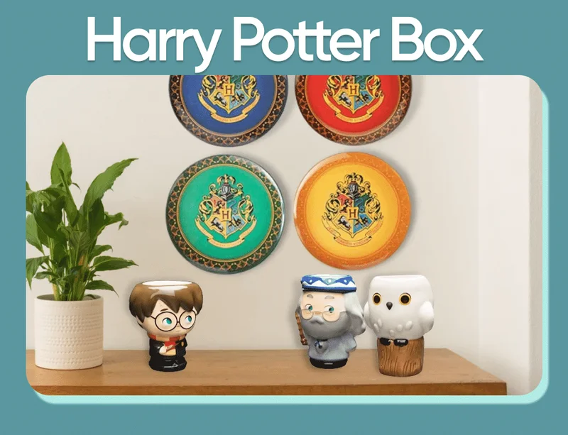 Harry Potter Box