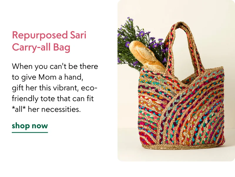 repurposed-sari-carry-all-bag