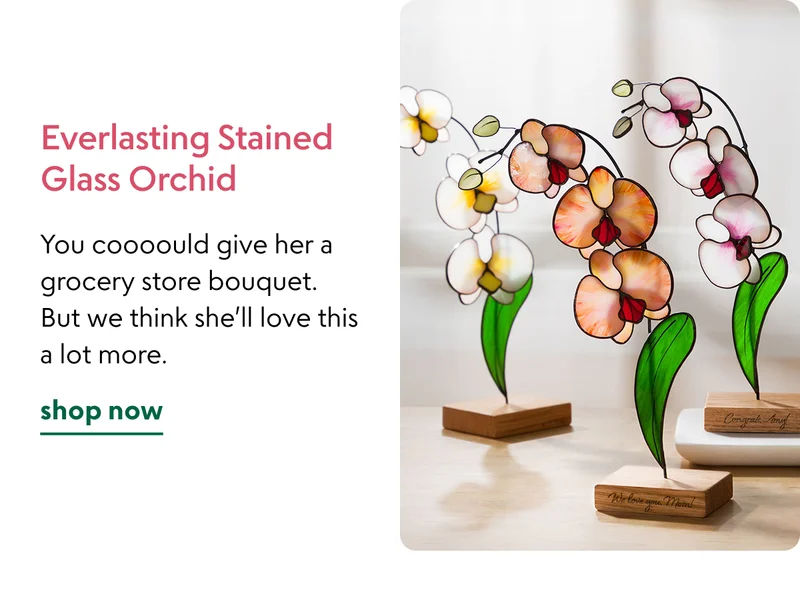 everlasting-stained-glass-orchid