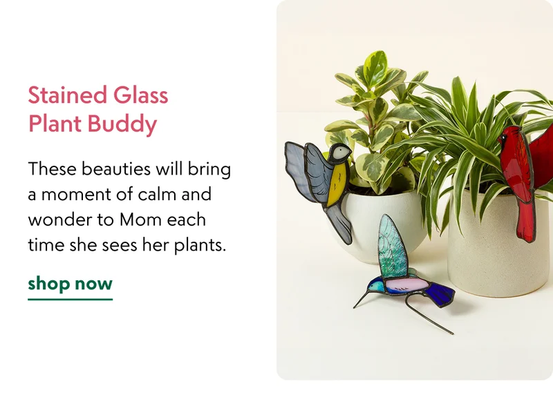 stained-glass-plant-buddy