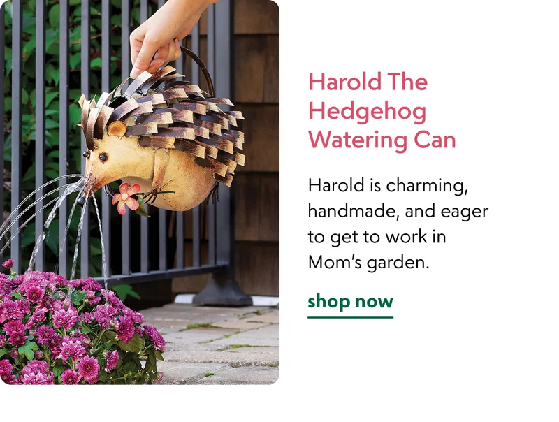 harold-the-hedgehog-watering-can