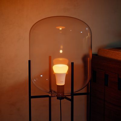 Bulbs