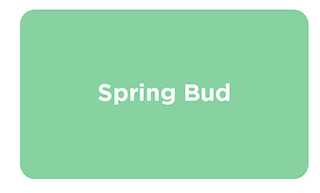 Spring Bud