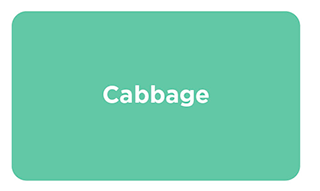 Cabbage