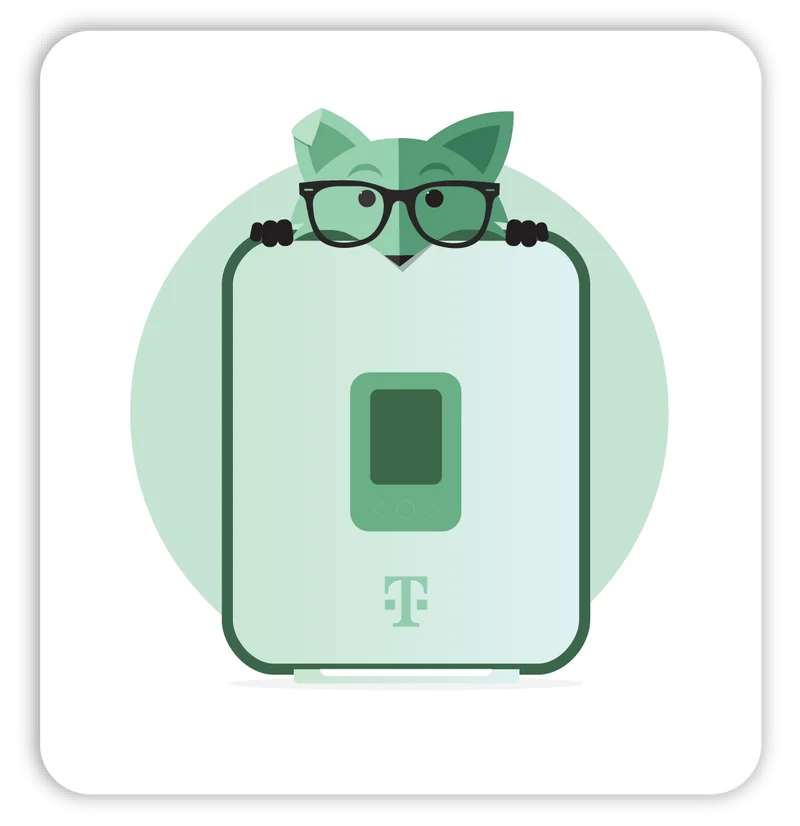5G Home MINTernet