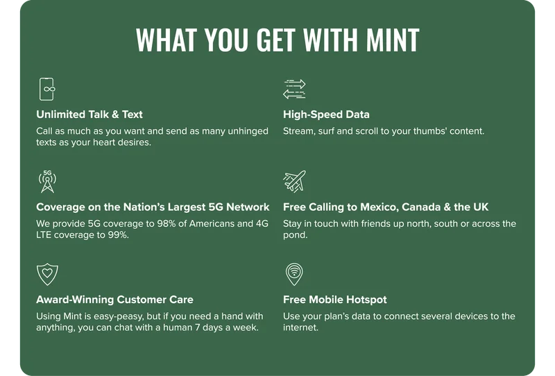 What you get with Mint