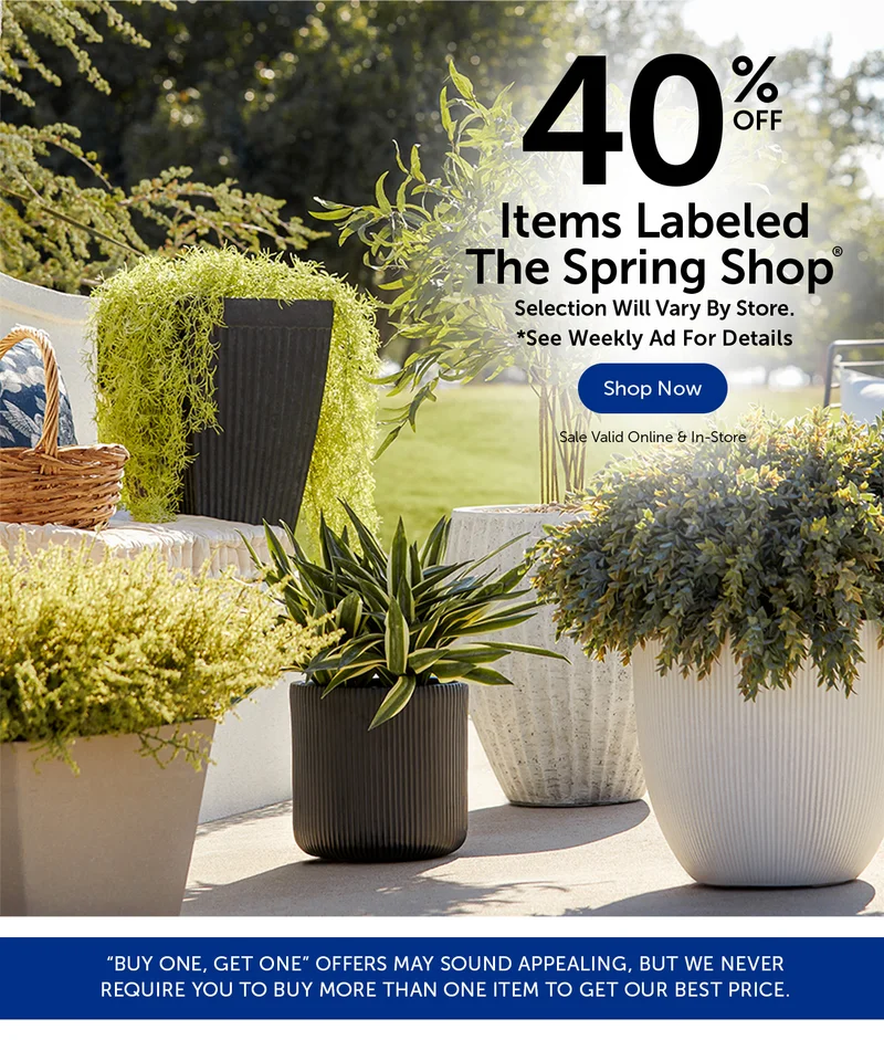 The Spring Shop