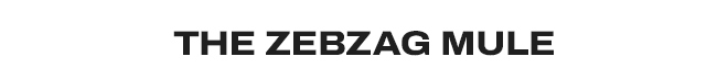 Shop the Zebzag mule